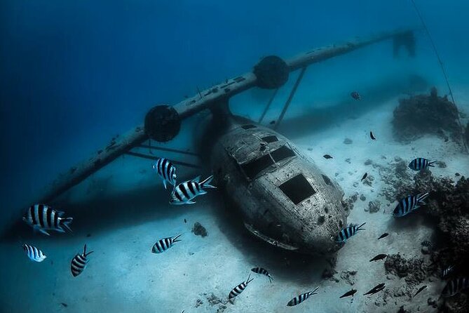 Diving day - Getting There: Marina Taina Start Time and Pickup Options