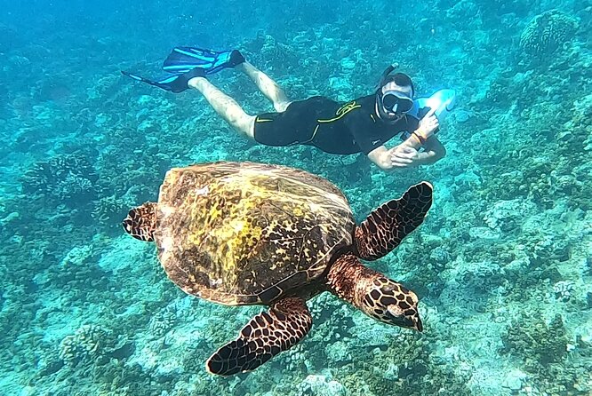Diving day - Safety and the Human Side of the Crew