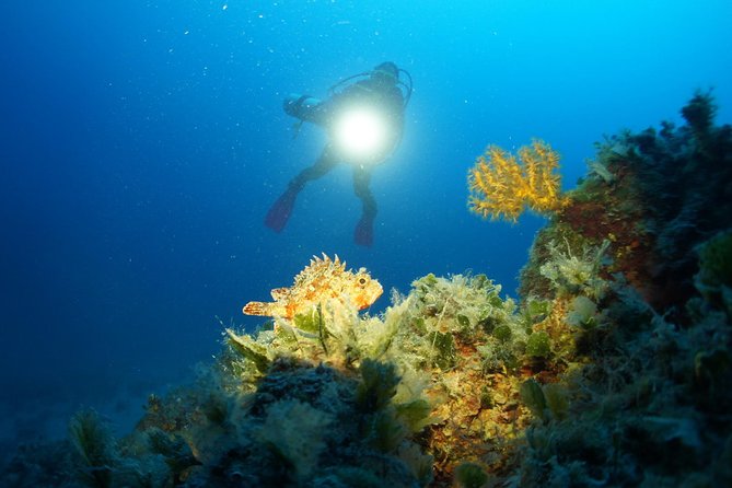 Diving day tour with 2 dives - Key things to know before you go