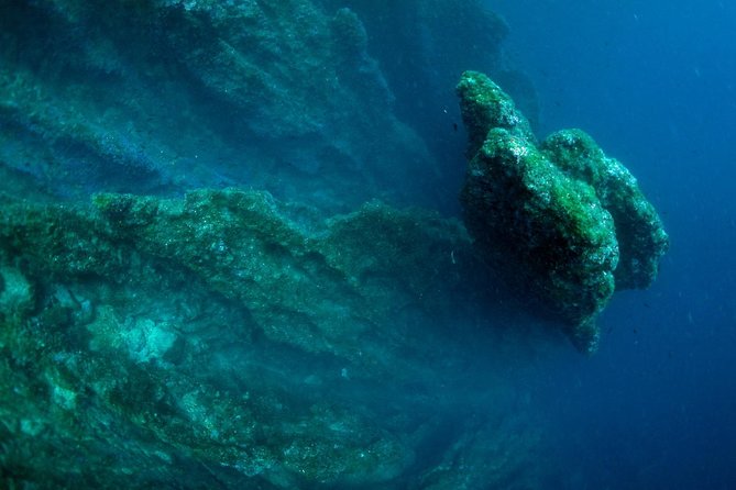 Diving day tour with 2 dives - Depth rules, license limits, and what to expect at 12 m