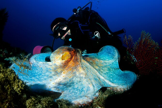 Diving day tour with 2 dives - The guide style: how Jacob’s attentiveness shows up in real moments