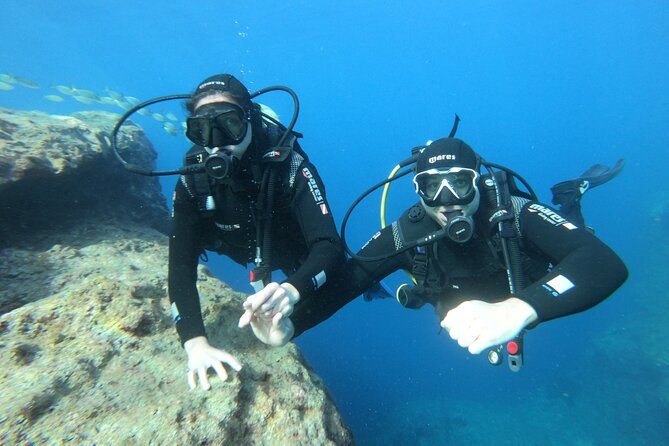 Diving experience in Malta - The water time: exploring, fish spotting, and moving at your level