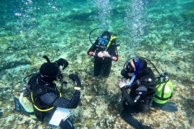 Diving experience in Malta - Meeting at Ramla Bay Resort and getting to the water spot