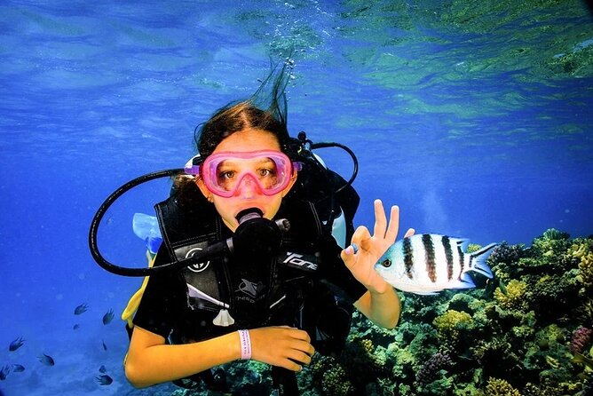 Diving for Beginner Two Dives Boat Trip with transfer in Hurghada - On-water comfort: lunch, coffee or tea, and soft drinks