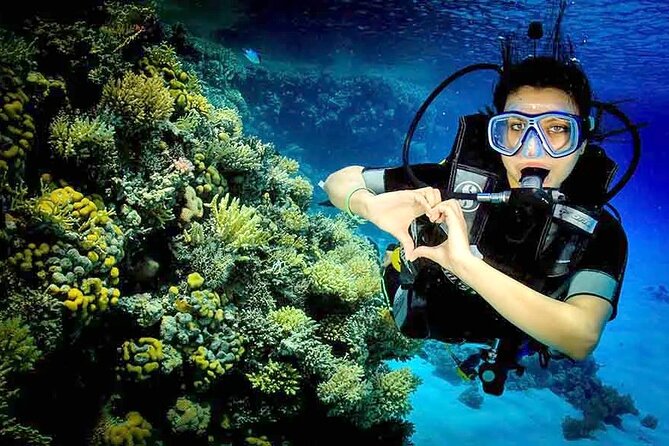 Diving for Beginner Two Dives Boat Trip with transfer in Hurghada - Price and value: what $23 covers, and what can add up