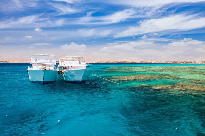 Diving for Beginner Two Dives Boat Trip with transfer in Hurghada - Logistics that make or break the day