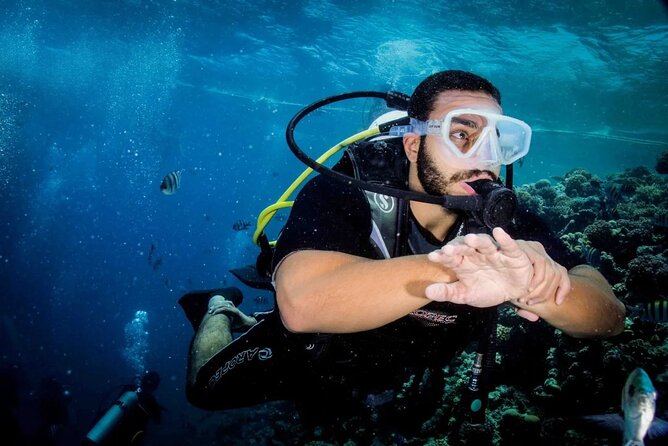 Diving for Beginner Two Dives Boat Trip with transfer in Hurghada - Timing and flow: two short underwater sessions that feel doable