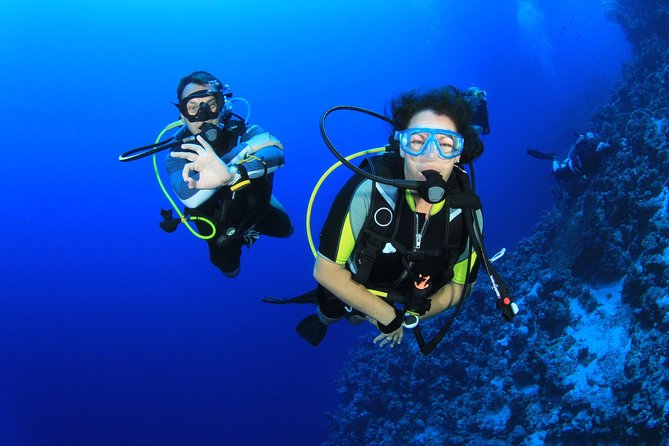 Diving for Certified Divers, 2 Tanks Sosúa Bay - Key points before you go