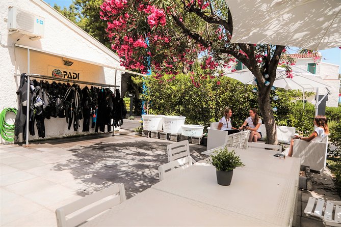 Diving for certified divers with PADI 5</em> Diving Resort – Taormina – Price and Value: Does $181.48 Make Sense for What You Get?’ /><br />
$181.48 per person for a roughly 6-hour day sounds like a decision you should justify. For me, the value comes from what’s included, not from the number alone.</p>
<p><p>You’re paying for:</p>
</p>
<ul>
<li>Two underwater sessions in a managed marine area</li>
<li>Gear setup and rental gear included</li>
<li>Boat transport included</li>
<li>Transfer between the resort area and the harbour included</li>
<li>Snacks and drinks (fruit, iced tea, water, plus wine and almond biscuits)</li>
<li>Instructor-led, safety-focused guidance</li>
</ul>
<p><p>If you’ve ever tried to piece together scuba logistics yourself—boat rides, gear rental, local knowledge, and a crew that actually plans for safety—it adds up fast. Here, the operator bundles the hard parts. You show up, get equipped, and the staff runs the day.</p>
</p>
<p><p>Also, the trip is small-group capped at 15 travelers. That tends to increase the “per person attention” factor compared with larger operations. For certified divers, that matters because you want consistent briefings and predictable procedures.</p>
</p>
<p><p>One more timing angle: it’s often booked about 36 days in advance on average, so if you have specific dates in mind, booking early helps lock in your seat.</p>
</p>
<h2 id="who-should-book-this-taormina-scuba-day-and-who-might-not">Who Should Book This Taormina Scuba Day (and Who Might Not)</h2>
<p><img width="669" height="446" decoding="async" src=
