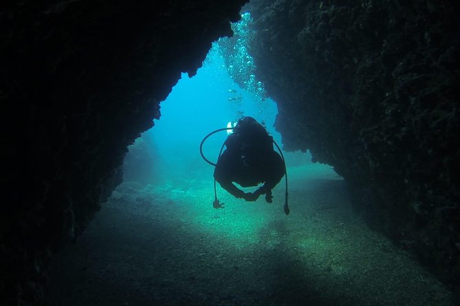 Diving for patented divers - The One-Hour Surface Interval: Snacks, Coffee, Tea, Water, Biscuits