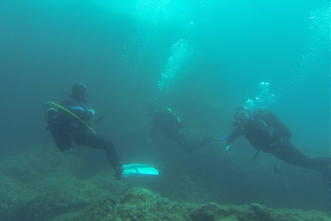 Diving for patented divers - Second Underwater Session: The Same Safety System, Another Coaching Round