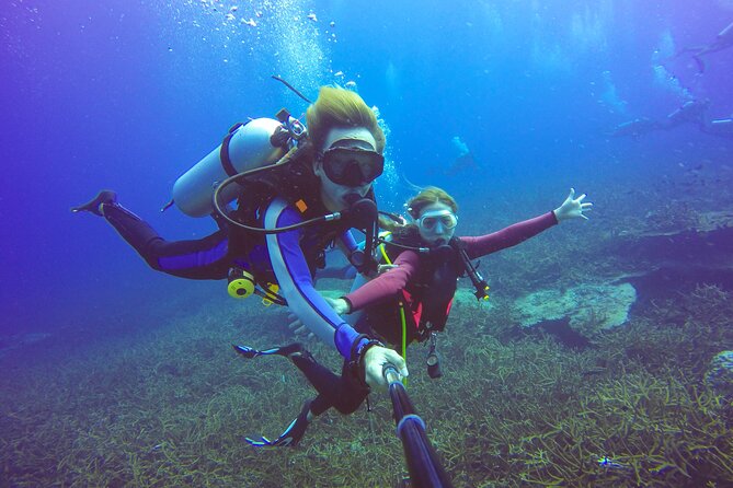 Diving Full Day 2 Stops Boat Trip For Beginners With Lunch and Transfer–Hurghada - Pickup, Timing, and the Boat Ride You’re Actually Signing Up For
