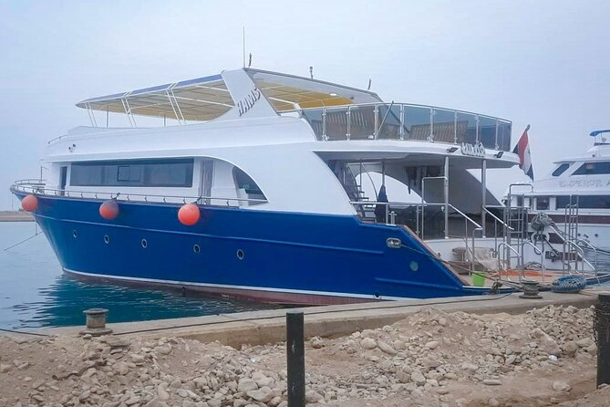 Diving Full Day 2 Stops Boat Trip For Beginners With Lunch and Transfer–Hurghada - Lunch Onboard: Food You Can Count On (and How Timing Can Shift)