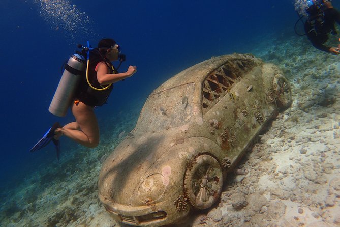 Diving in Cancun for Certified Divers | 2 Dives | All Inclusive - Certified-Diver Requirements: Is This Really for You?