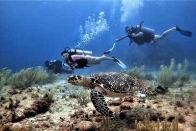 Diving in Cancun Underwater Museum of Art - A Two-Stop Plan: MUSA First, Reef Second