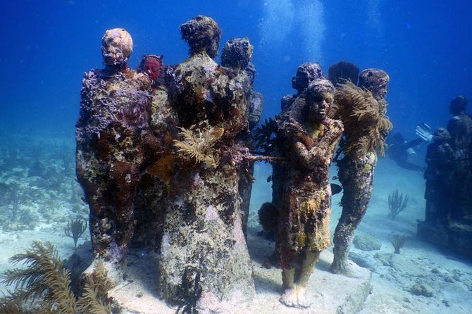 Diving in Cancun Underwater Museum of Art - Practical Logistics From Playa del Carmen: 8:00 am to Back Again