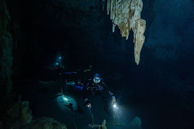 Diving in Cenotes: discovering the Mayan Underworld - Cenotes Are Different, and the Guide Helps You Adjust