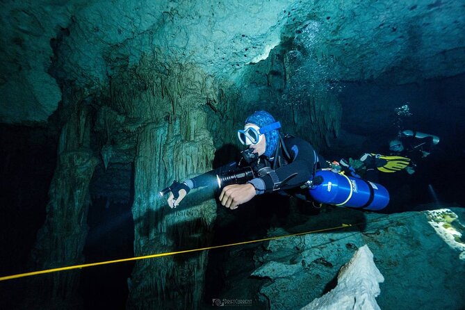 Diving in Cenotes: discovering the Mayan Underworld - Private Tour Energy: Just Your Group, No Herding