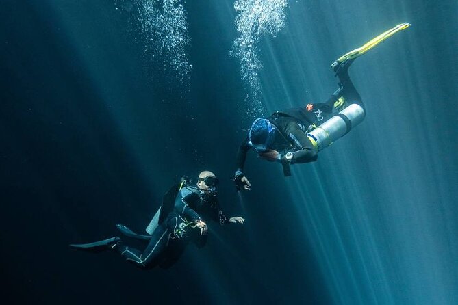 Diving in Cenotes: discovering the Mayan Underworld - Price and Value: What $239.05 Buys You