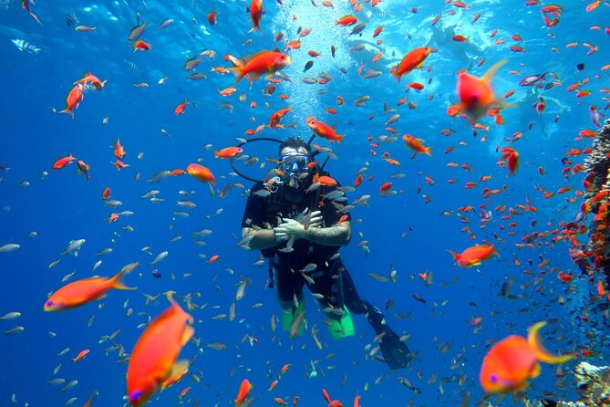 Diving in Hurghada for Beginners With Lunch and Transfer - Key things to know before you go