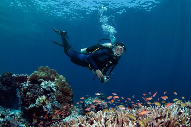 Diving in Hurghada for Beginners With Lunch and Transfer - Pickup, timing, and what the morning feels like