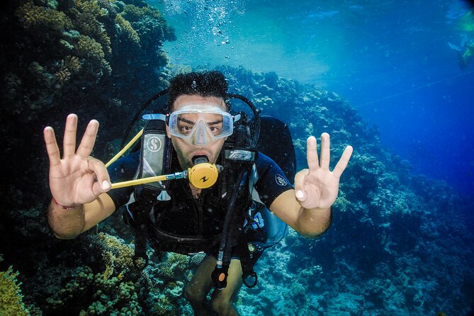 Diving in Hurghada for Beginners With Lunch and Transfer - Gear and instruction: what “beginner-friendly” really means