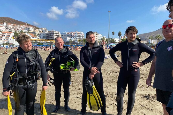 Diving in Los Cristianos, Tenerife - The Van Ride to Playa Las Vistas: Why This Beach Matters
