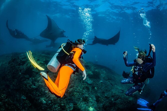 Diving in Nusa Penida - Key things that make this Nusa Penida scuba day work