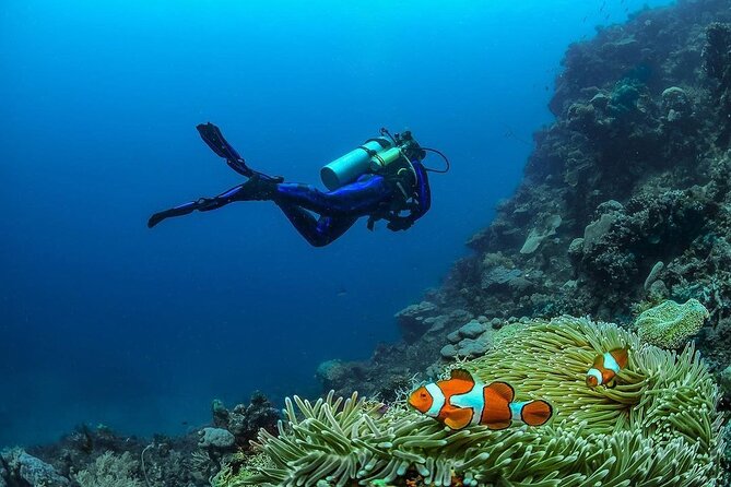 Diving in Nusa Penida - Getting the most out of your first underwater time