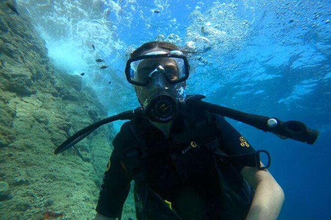 Diving in the Calanque Saint-Barthélemy - Key highlights before you go