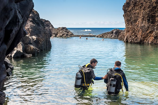Diving in the Madeira Aquarium - Where You Go: Aquario da Madeira in Porto Moniz (Near Funchal)