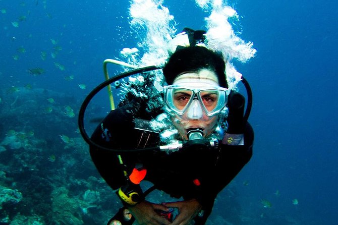 Diving in the Mediterranean sea - The Value Math: How $57.82 Adds Up