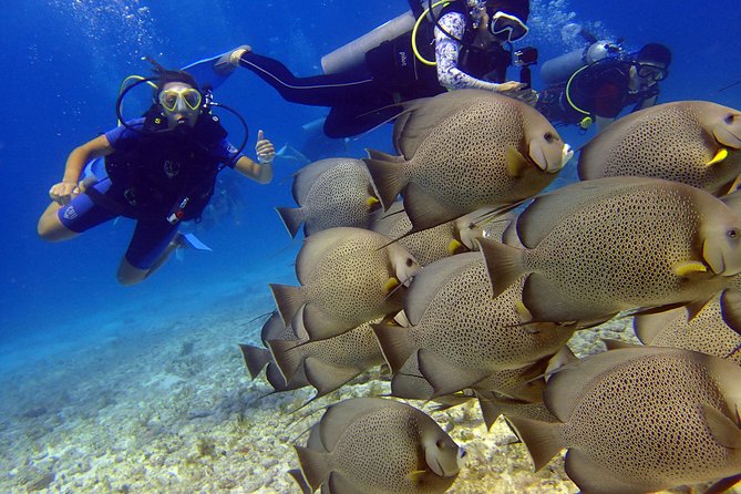 Diving in the Mexican Caribbean for Beginners | 2 Tanks 2 Dives | All Inclusive - Pool practice: your confidence comes from repetition