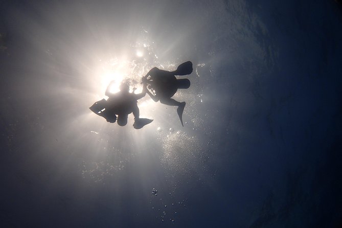Diving in the Mexican Caribbean for Beginners | 2 Tanks 2 Dives | All Inclusive - Underwater Museum (MUSA): 35 minutes at about 33 ft / 10 m