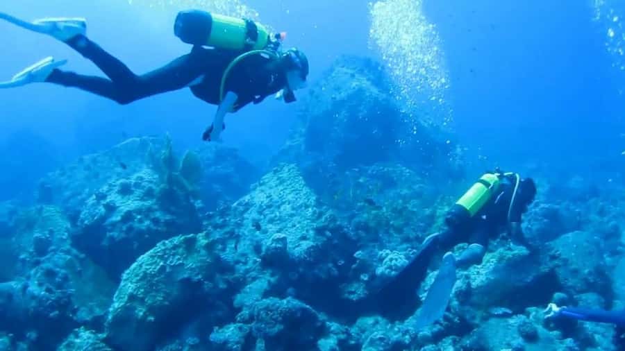 Diving in the North with Blue World Adventures - Key takeaways before you go