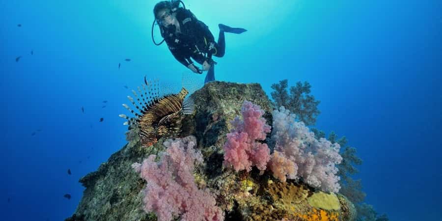 Diving in the North with Blue World Adventures - Shallow-water skills: your first steps toward looking around
