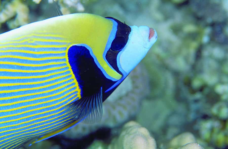 Diving in the North with Blue World Adventures - Price and value: is $159 per person a good deal?