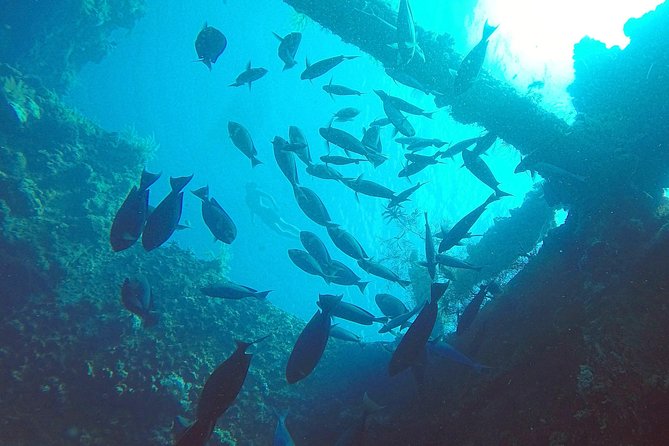 Diving in Tulamben - Quick reasons this Tulamben wreck day works