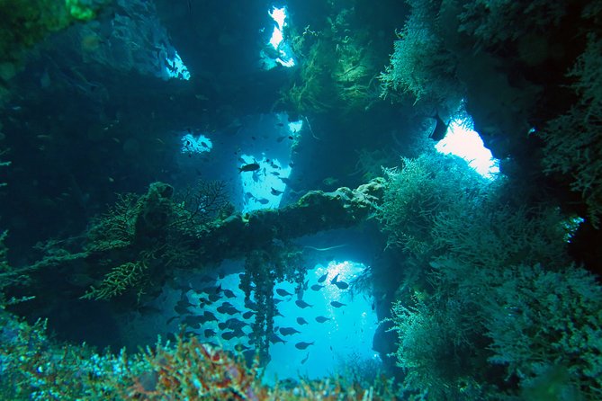 Diving in Tulamben - Lunch on a beach-side partner menu: resetting before the second session
