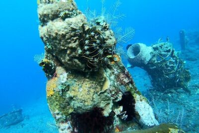 Diving in Tulamben - Morning shore session in Tulamben: the USAT Liberty Wreck moment