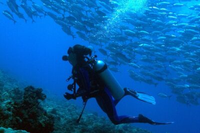 Diving initiation - Meeting point at Puna’auia (C97P+J5J) and how the day runs