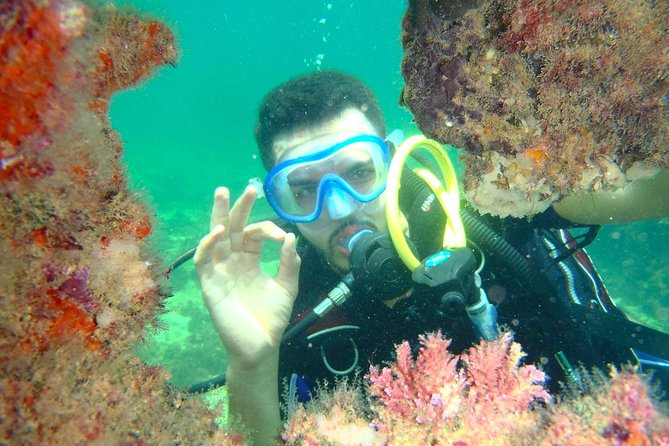 Diving initiation (Initiation) - First Scuba from Djerba: why beach entry matters