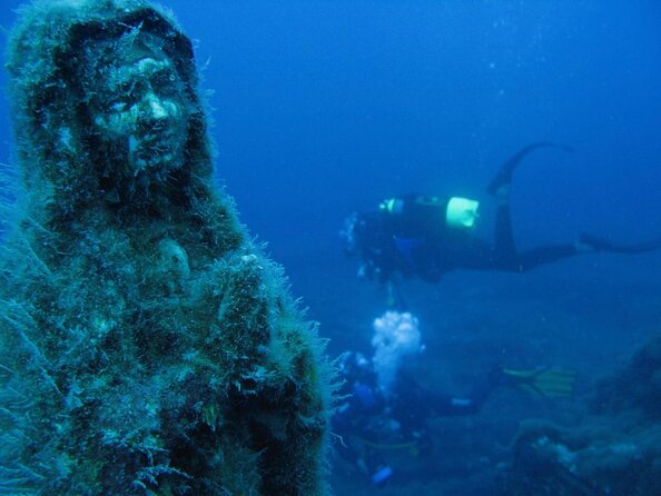 Diving + Muse - Key things to know before you go