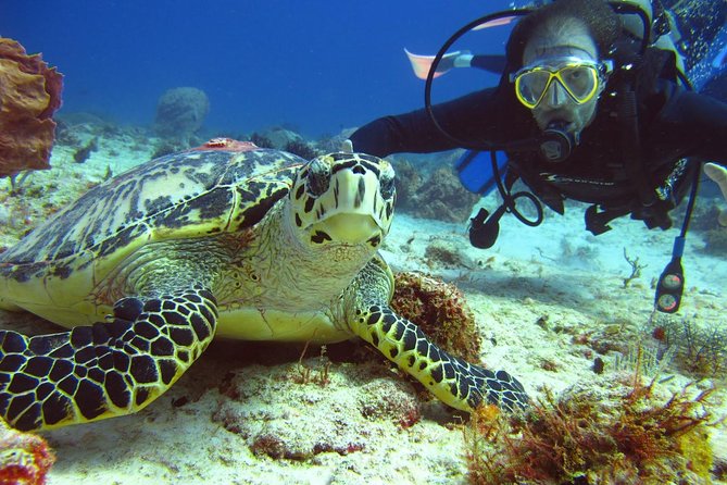 Diving + Muse - Cancun scuba plus an underwater museum: what you’re really signing up for