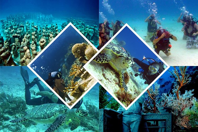 Diving + Muse - Scuba equipment and the pace of a small group (up to 10)