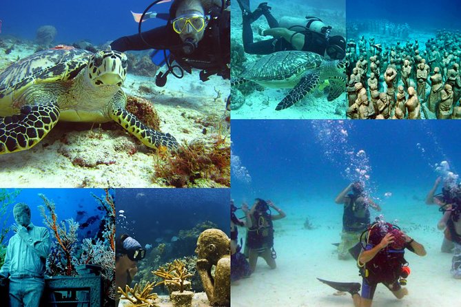 Diving + Muse - What to pack and how to plan your day (without overthinking it)