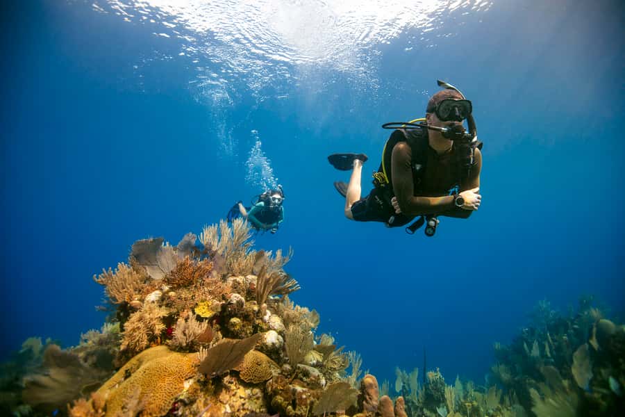 Diving Santa Marta & Tayrona for Certified Divers (2 tanks) - Two tanks in one day: how your underwater time is structured