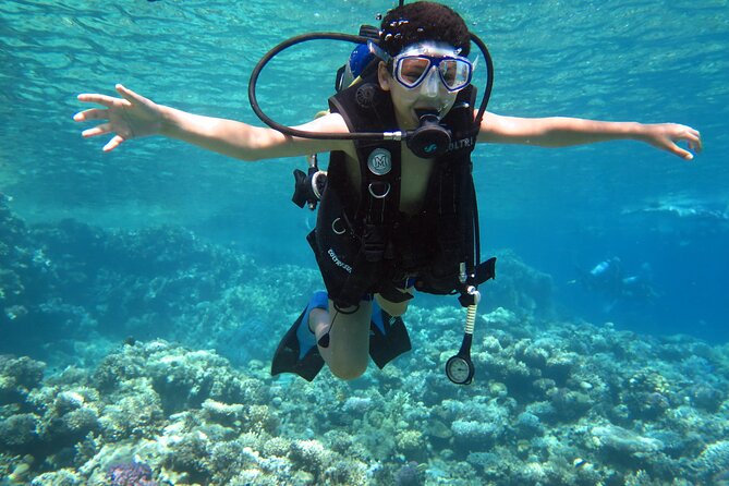 Diving & Snorkeling Boat trip to Tiran Island Sharm El Sheikh - Who Should Book This Tiran Island Snorkeling Trip?