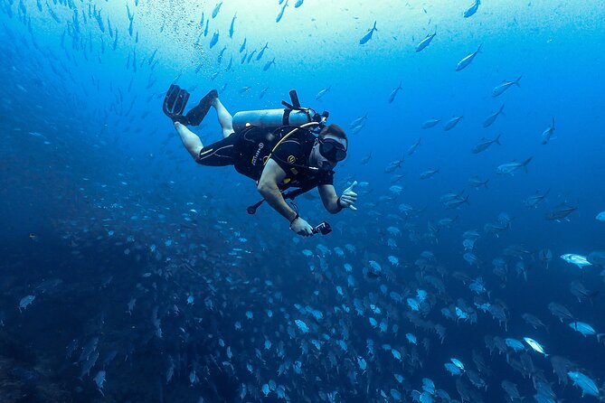 Diving Tour for Certified Divers: Sail Rock or Koh Tao - The 7-Hour Flow: What Your Day Will Look Like