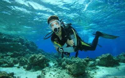 Diving Tour from Alanya & Side with Lunch - 2 Dives Included - Two Underwater Sessions at 6m and 12m: What That Means